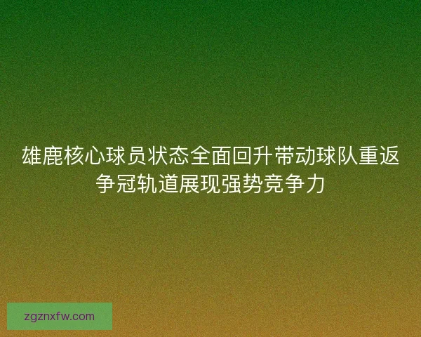 雄鹿核心球员状态全面回升带动球队重返争冠轨道展现强势竞争力